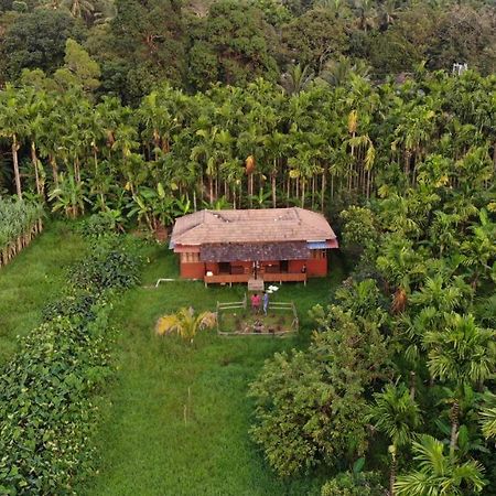 Ibbani Homestay, Siddapur Екстериор снимка