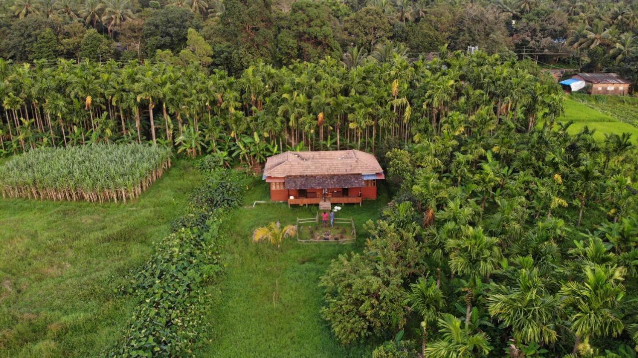 Ibbani Homestay, Siddapur Екстериор снимка